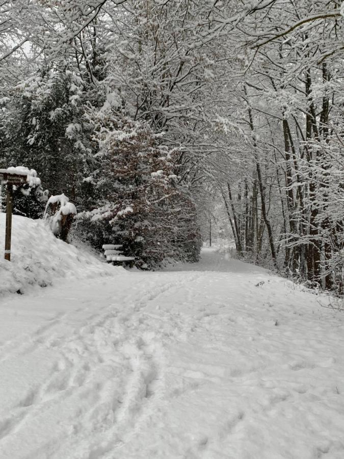 Ferienhaus Gemuend Villa ชไลเดิน ภายนอก รูปภาพ